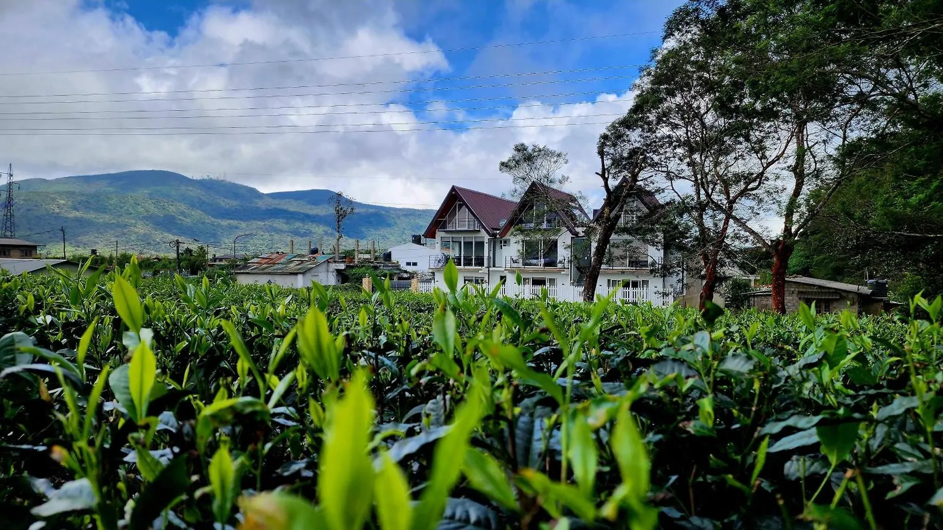 Hotel Cottage Mountain Misty-Nuwaraeliya Nuwara Eliya Sri Lanka