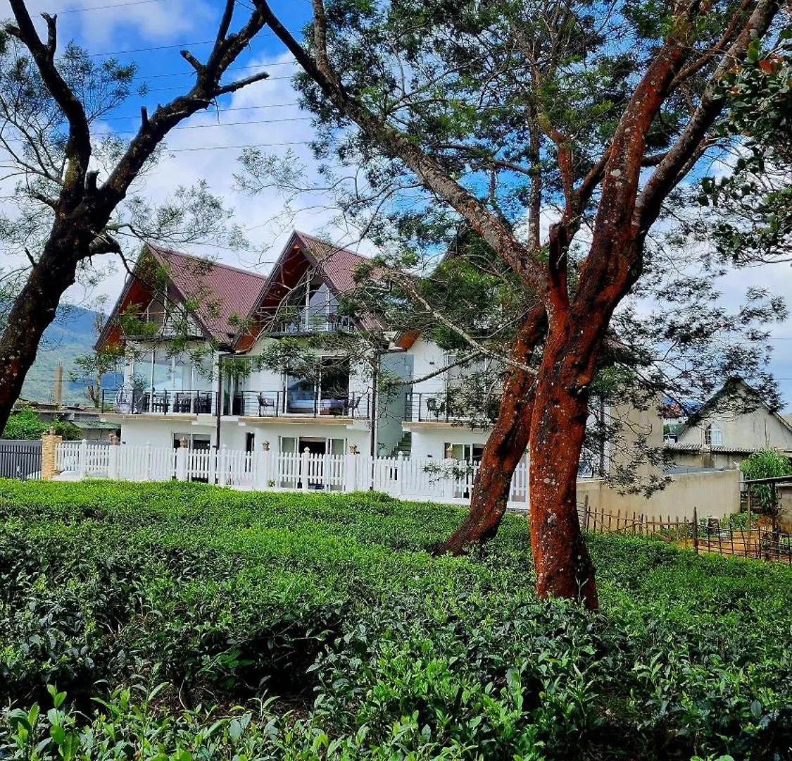 Cottage Mountain Misty-Nuwaraeliya Nuwara Eliya 0*,