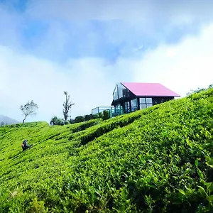The Blackberry Nuwara Eliya